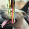 malepooh