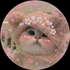 ittz_zha4a