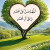user3832176035280