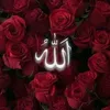 user1862808421567
