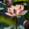 phantrongduong33_0
