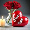 user86631579686233