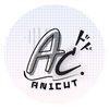 anicut.team