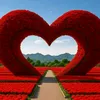 mohammedanas0368
