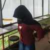 lastecu024