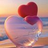 rohan.khan5825