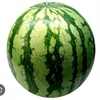 sandia_s.1