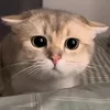 666arina0