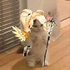 dlifkisser