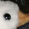 ngiminggaming7