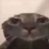 linggangguliguliwata8