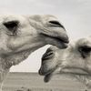 byooonh711