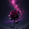 user8562240283200