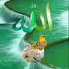 user1405191192163