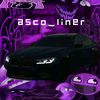 asco_liner95