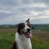 hans.von.loeffelh