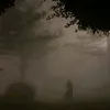 flwr365