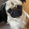 molly.ogden7