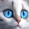 catverse2025