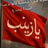 om_ali500