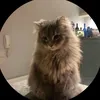 zahraa.yuuio