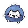 gato.arndano
