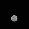 mily_7076
