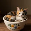 Sr_gatinho