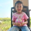 isti87079
