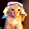 arabcat03