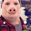 dildo_zilla