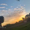 jonathanmedina2240