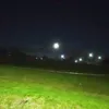 luanacampodenico11