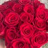 emanuel_333.3