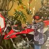 aranza.laris
