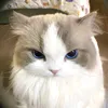 ngoc.duong965