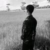 beatitam8