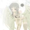 matchaodette