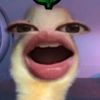 zaaahirrraaa13