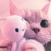 matchute_