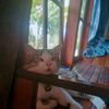 syafiq54392