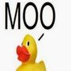 mooduck520