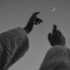 nisa_23953
