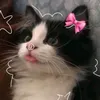 uyyst3