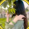 user4080360022924
