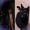 lqverbyers