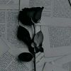 mahmoud_ma8