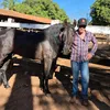 Severino.oficial