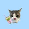 l0vie_achafl0wercha0
