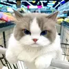 vycucchill